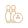 Bowling ball pin